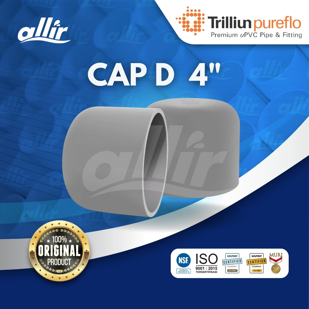 Copy of Cap D 4