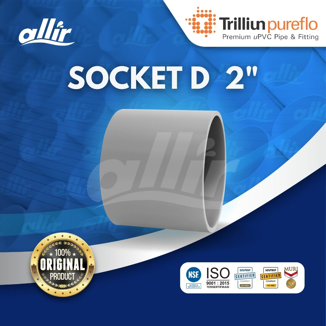 Copy of Socket D 2